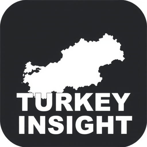 Turkey Insight Logo